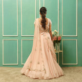 LADY DAPHNE Kalidaar