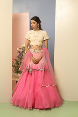 Primrose Lehenga with Dupatta