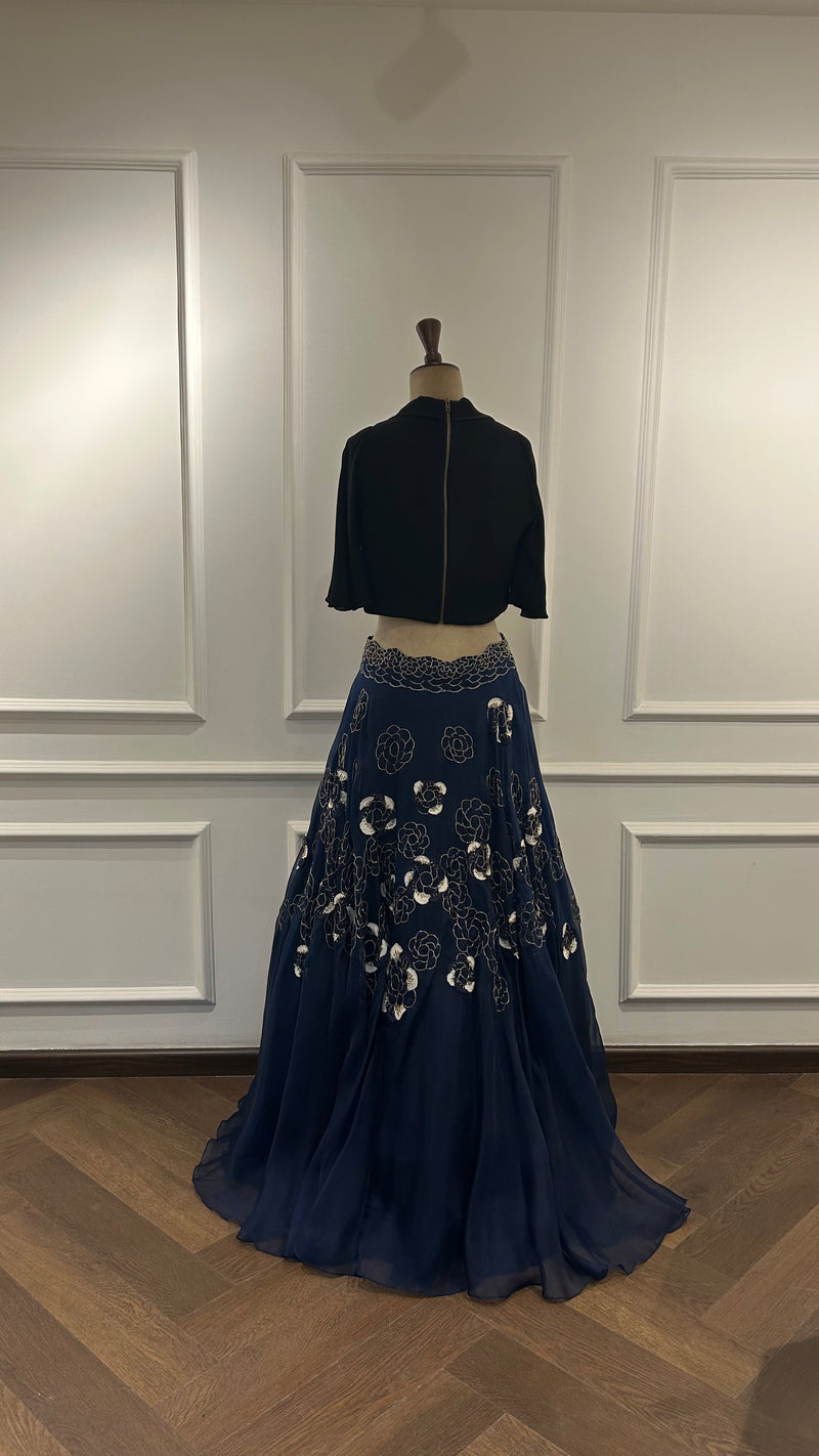 The Butterfly Princess Skirt with top