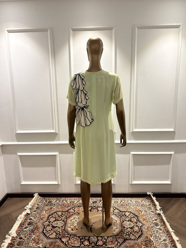 Mint encroaching dress