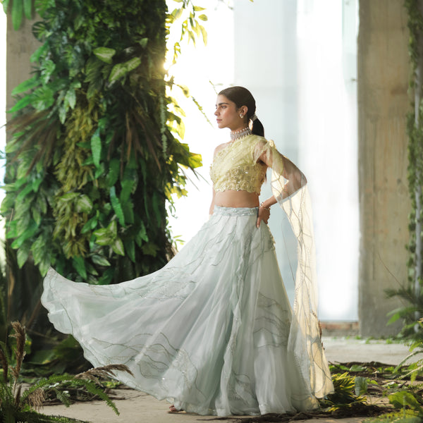 Azalea Lehenga Choli Set – Mynah Designs